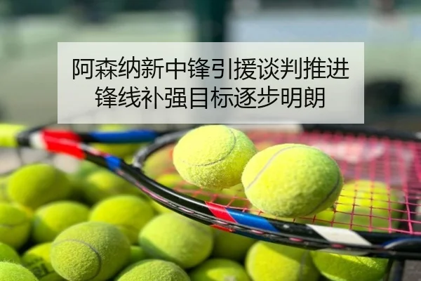 阿森纳新中锋引援谈判推进 锋线补强目标逐步明朗